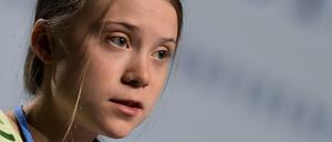 Greta Thunberg twitterte über ihre Heimreise. Die DB outete sie als Erste-Klasse-Passagierin.