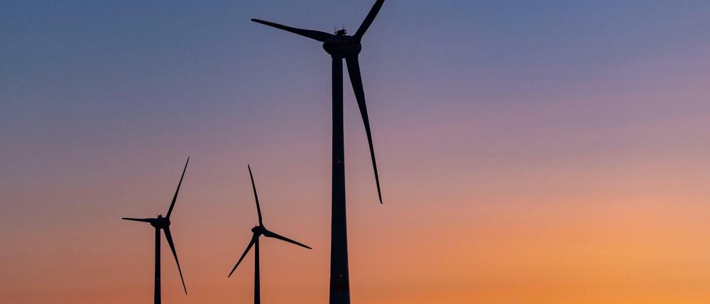 Investitionen in erneuerbare Energien sollen bevorzugt werden. 