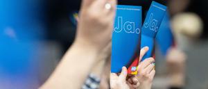 Abstimmung auf dem AfD-Bundesparteitag in Braunschweig