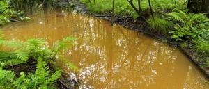 Braune Brühe: Die sogenannte Verockerung ist die Folge einer chemischen Reaktion von Eisen, das im Wasser gelöst ist.