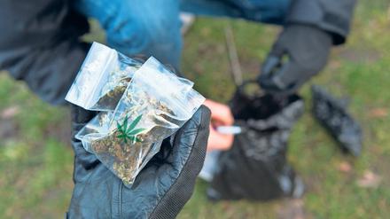 Zukünftig sollen Erwachsene 25 Gramm Cannabis mit sich führen dürfen.