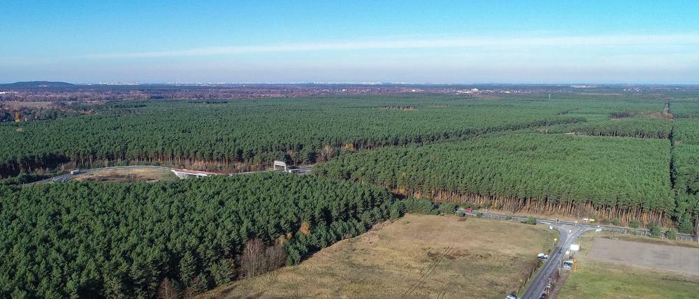 Neben dem Gelände des Güterverkehrszentrums (GVZ) Freienbrink in der Gemeinde Grünheide plant Tesla den Bau der Gigafactory.