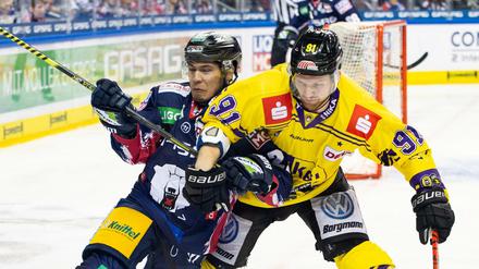 Da war nichts zu holen für Austin Ortega (li.) und die Eisbären gegen Krefeld (im Bild Phillip Bruggisser). 