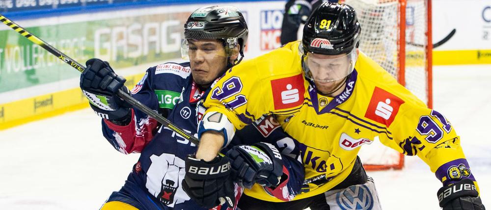Da war nichts zu holen für Austin Ortega (li.) und die Eisbären gegen Krefeld (im Bild Phillip Bruggisser). 