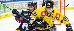Da war nichts zu holen für Austin Ortega (li.) und die Eisbären gegen Krefeld (im Bild Phillip Bruggisser). 