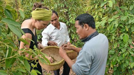In direktem Kontakt zu Kleinbauern auf den Plantagen: Anja Matthes bei der Qualitätssicherung von Kampot-Pfeffer in Kambodscha.