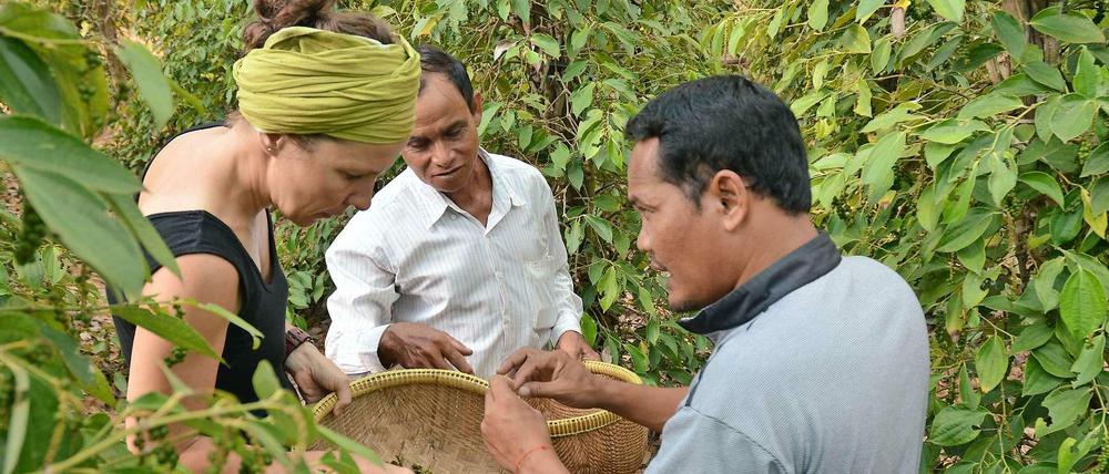 In direktem Kontakt zu Kleinbauern auf den Plantagen: Anja Matthes bei der Qualitätssicherung von Kampot-Pfeffer in Kambodscha.