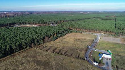 In dem riesigen Waldgebiet rechts der Autobahn plant Tesla den Bau einer Gigafactory.