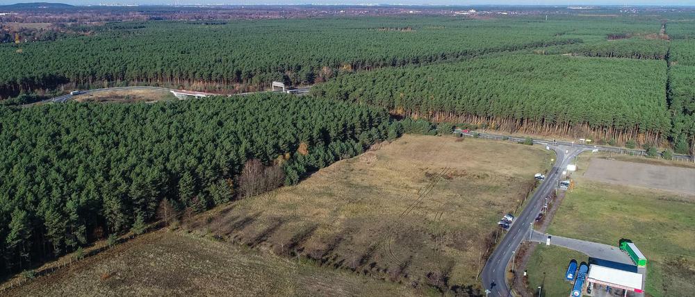 In dem riesigen Waldgebiet rechts der Autobahn plant Tesla den Bau einer Gigafactory.