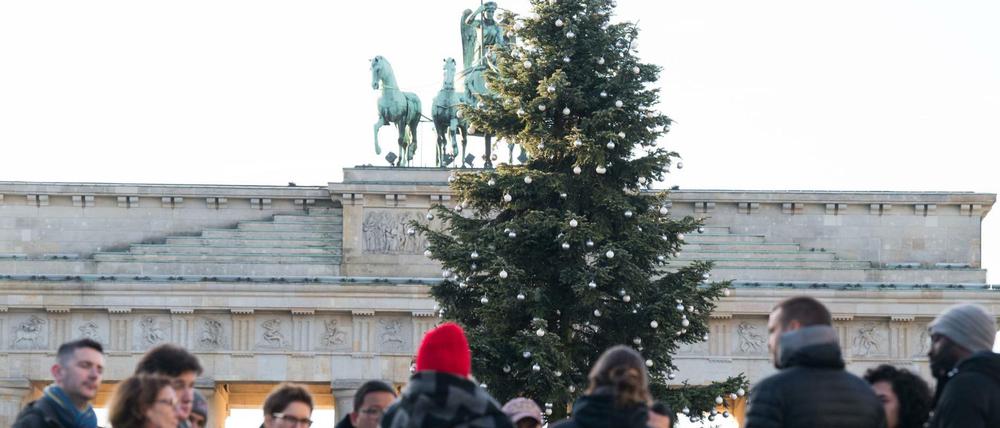In den Weihnachtstagen hat Berlin ein großes Programm zu bieten.