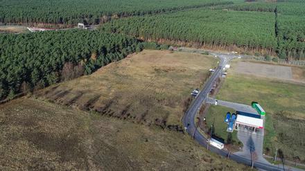 In dem riesigen Waldgebiet rechts der Autobahn plant Tesla den Bau einer Gigafactory. 