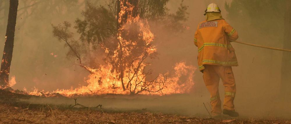 Die Feuerwehren haben kaum eine Chance gegen die Flammen.
