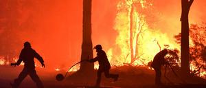 Freiwillige und Feuerwehrleute löschen einen Brand.