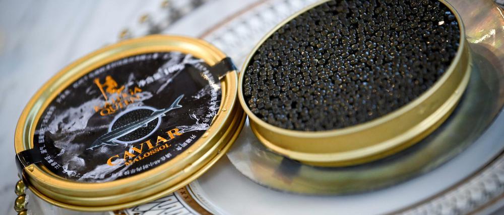Teure Delikatesse: Für Kaviar sind Feinschmecker bereit, tief in die Tasche zu greifen. Die weiblichen Störe bezahlen die Entnahme der Eier mit ihrem Leben.