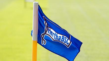 Ein Spiel, zwei Meinungen. Der Nachwuchs von Hertha BSC bricht ein Regionalligaspiel ab und erhebt Rassismus-Vorwürfe. Auerbach weist das von sich. 