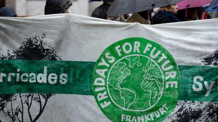 Demonstranten der „Fridays for Future“-Bewegung in Frankfurt/Main 