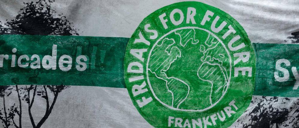 Demonstranten der „Fridays for Future“-Bewegung in Frankfurt/Main 
