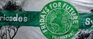 Demonstranten der „Fridays for Future“-Bewegung in Frankfurt/Main