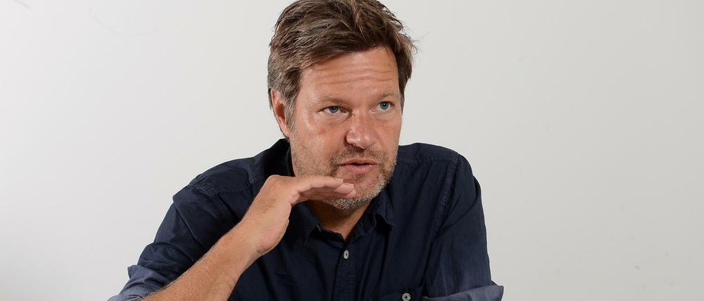 Grünen-Chef Robert Habeck.