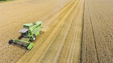 Ein weites Feld: Mehr als die Hälfte der Fläche Deutschlands wird landwirtschaftlich genutzt, davon sind 71 Prozent Ackerland. 