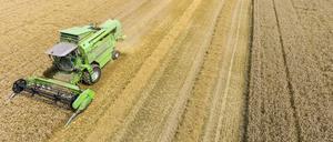 Ein weites Feld: Mehr als die Hälfte der Fläche Deutschlands wird landwirtschaftlich genutzt, davon sind 71 Prozent Ackerland. 