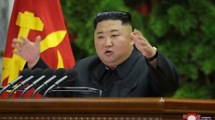 Kim Jong Un, Machthaber von Nordkorea