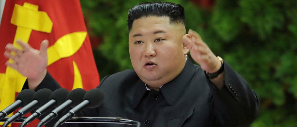 Kim Jong Un, Machthaber von Nordkorea