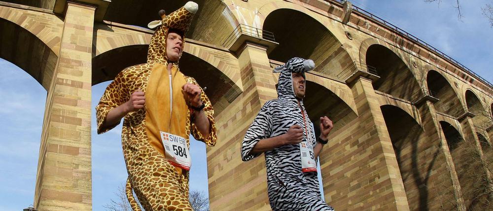 Richtung neues Jahr! Hier beim Silvesterlauf in Bietigheim. Und auch beim „Speck-weg-Marathon“ im Volkspark Prenzlauer Berg.