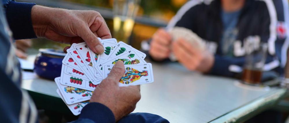 Ein Skatspieler ordnet nach der Aufnahme des Skates in Altenburg (Thüringen) seine Karten. 