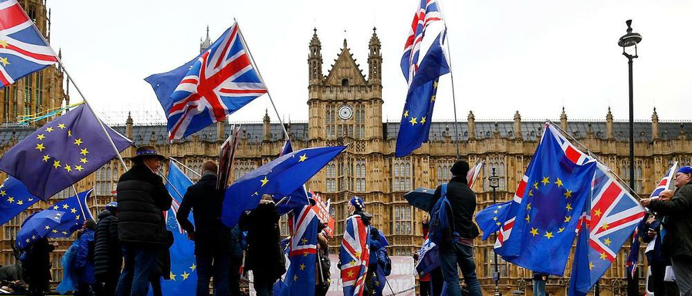 Demonstranten vor den Houses of Parliament in London