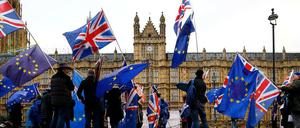 Demonstranten vor den Houses of Parliament in London