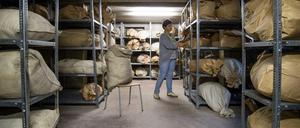 Eine Mitarbeiterin von Brandenburgs einziger Stasi-Unterlagenbehörde in Frankfurt (Oder) im Keller des Hauses mit unzähligen Säcken vorvernichteter Stasi-Unterlagen.