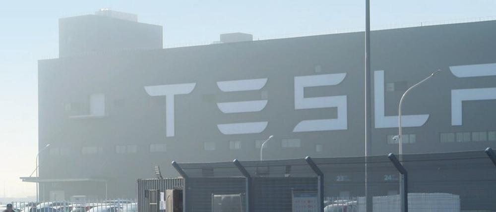 Tesla macht Hoffnung. In Schanghai hat der US-Autohersteller seine Gigafabrik schon errichtet. Durch die geplante Ansiedlung in Grünheide wächst die gesamte Region.