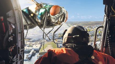 Auf dem Weg ins Klassenzimmer. In einer ZDF–Sendung verrät „Terra X“, warum Insekten nie eine solche Größe erreichen. Das könnte auch für Schüler interessant sein.
