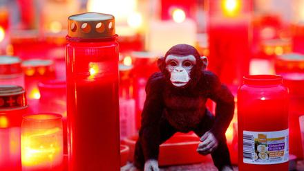 Zwei Tage nach dem Brand im Affenhaus des Krefelder Zoos steht ein Stofftieräffchen neben Trauerkerzen.