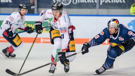 Louis-Marc Aubry von den Eisbären (vorne links) will endlich mal wieder gegen München gewinnen (rechts Derek Roy). 