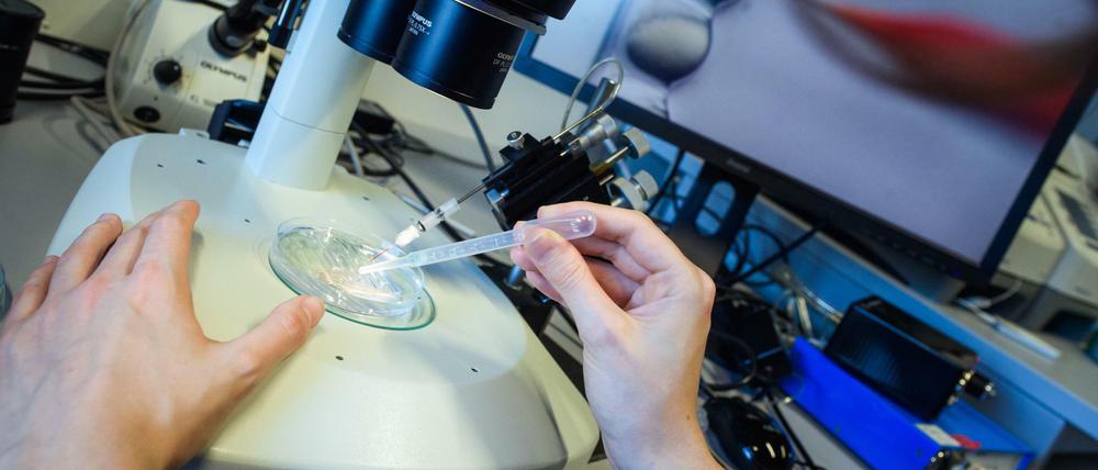 Eine Mitarbeiterin pipettiert während des „Crispr“-Verfahrens am Max-Delbrück-Centrum für Molekulare Medizin.