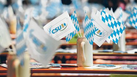 Fähnchen der Partei.