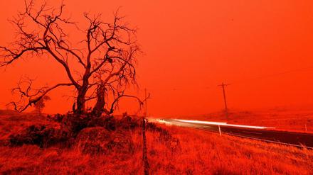 Australien in Flammen: Roter Qualm bei Cooma 