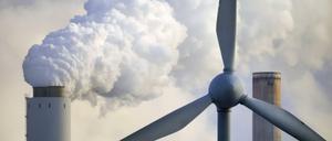 Erneuerbare Energien hätten einen Rekordanteil von 42,6 Prozent des Bruttostromverbrauchs gedeckt, heißt es in der Auswertung. 