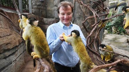 Matthias Reinschmidt, Zoodirektor von Karlsruhe, füttert 2017 im Zoo Karlsruhe im Exotenhaus Totenkopfäffchen. (Archivbild)