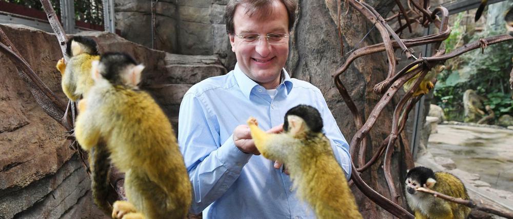 Matthias Reinschmidt, Zoodirektor von Karlsruhe, füttert 2017 im Zoo Karlsruhe im Exotenhaus Totenkopfäffchen. (Archivbild)