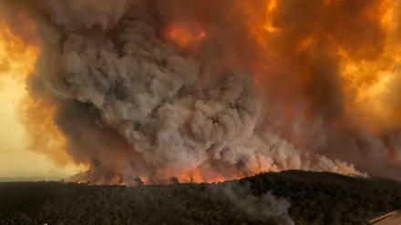 Die Lage im Kampf gegen die Buschfeuer in Australien spitzt sich zu, doch Rupert Murdochs Medien ignorieren das Ausmaß der Katastrophe. 