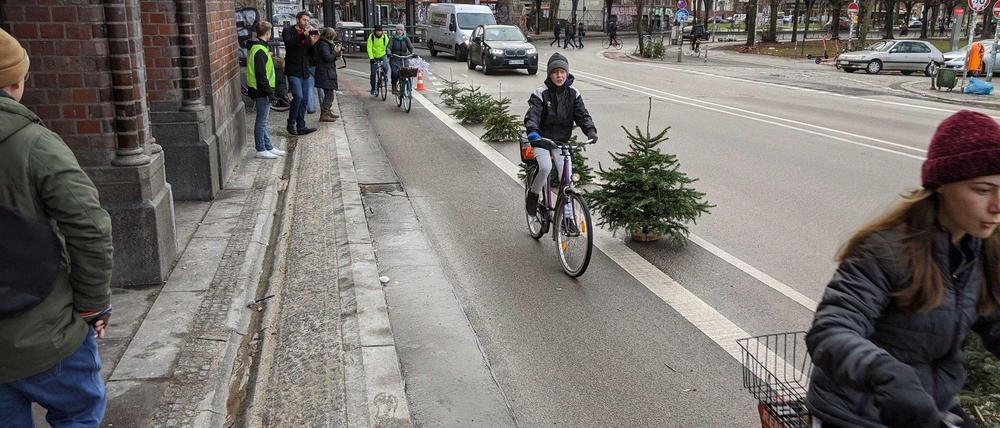 Weihnachtsbäume am Straßenrand - mal anders. Hier als Protest gegen schmale Fahrradstreifen.