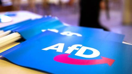 Fähnchen mit AfD-Logo.