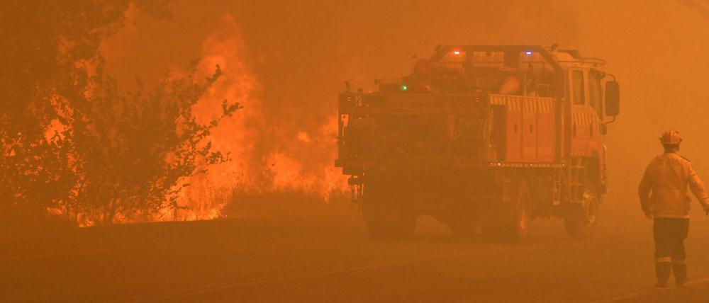 Feuerwehrleute kämpfen gegen die starken Waldbrände in Australien. Großspenden erhielten sie nun von Pop- und Filmstars.