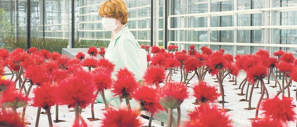 Eine Blume, die glücklich macht. Emily Beecham als Botanikerin Alice erhielt in Cannes eine Palme als beste Darstellerin. 