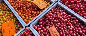 "Herzfeuer" kennt man zumindest als Kleingärtner. Dass es aber Tomatensorten gibt, die Isis heißen, weiß wohl nicht jeder.