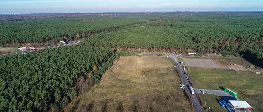 In dem riesigen Waldgebiet rechts der Autobahn plant Tesla den Bau einer Fabrik.