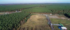 In dem riesigen Waldgebiet rechts der Autobahn plant Tesla den Bau einer Fabrik.